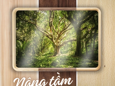 Tại sao gương trang trí được ưa chuộng trong trang trí nội thất?