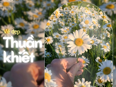 Bỏ túi ngay địa chỉ chuyên gương đèn LED cho spa HCM