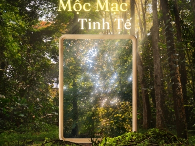 Đâu là nơi bán gương gỗ cảm ứng cao cấp, giá tốt?