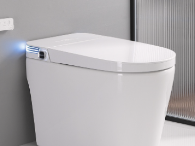 Nhà cung cấp thiết bị vệ sinh tại Bình Chánh uy tín, chính hãng kèm dịch vụ lắp đặt