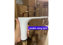 LAVABO NÓNG LẠNH